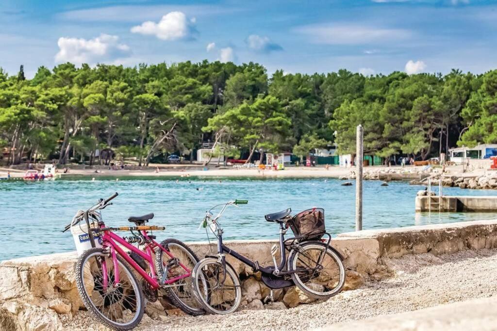 Apartman Anica Διαμέρισμα Zgaljic Εξωτερικό φωτογραφία